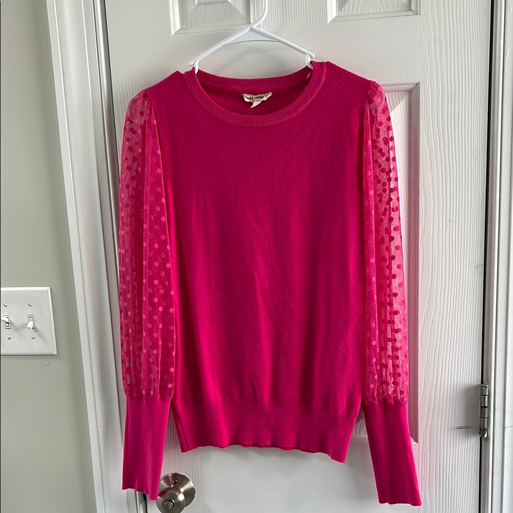 Pink Sweater with Sheer Polka Dot Sleeves